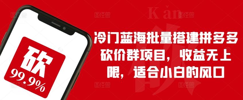 冷门蓝海批量搭建拼多多砍价群项目，收益无上限，适合小白的风口【揭秘】-chywc