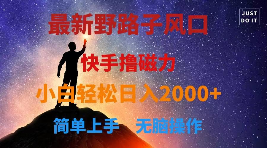 最新风口！快手撸磁力，野路子，小白无脑操作日入2000+-chywc