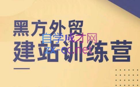 黑方老师·谷歌B端独立站建站推广-chywc