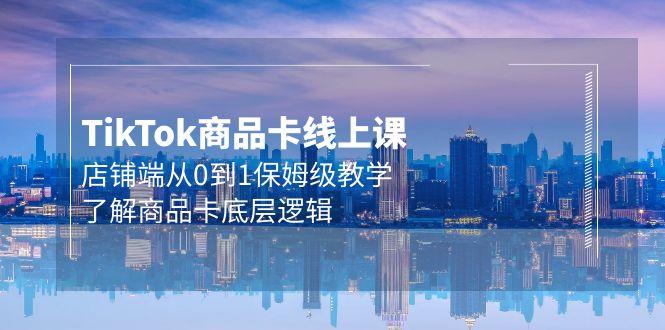 (9843期)Tk商品卡线上课，店铺端从0到1保姆级教学，了解商品卡底层逻辑(20节)-chywc