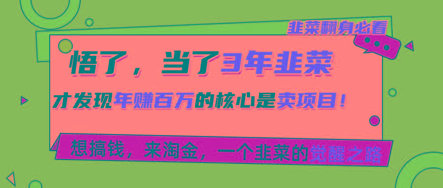 悟了，当了3年韭菜，才发现网赚圈年赚100万的核心是卖项目，含泪分享！-chywc