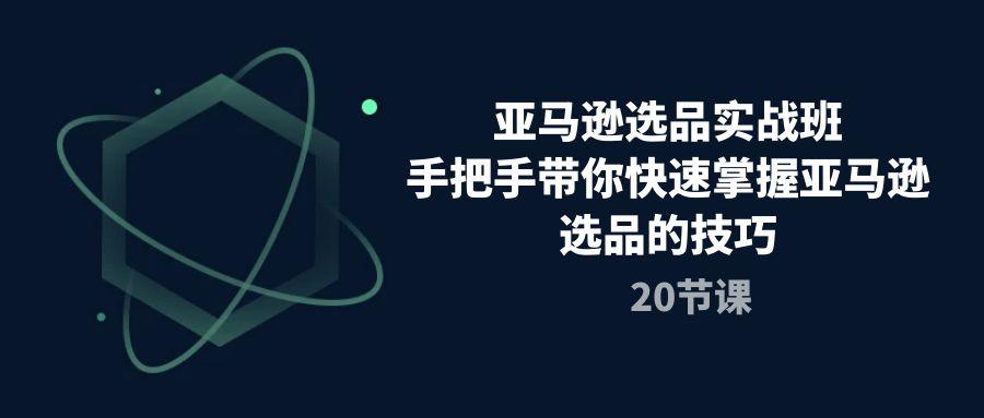 亚马逊选品实战班，手把手带你快速掌握亚马逊选品的技巧(20节课-chywc