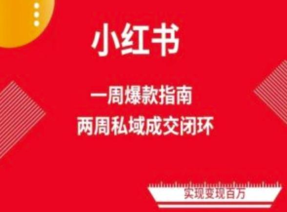爆款小红书免费流量体系课程(两周变现)，小红书电商教程-chywc