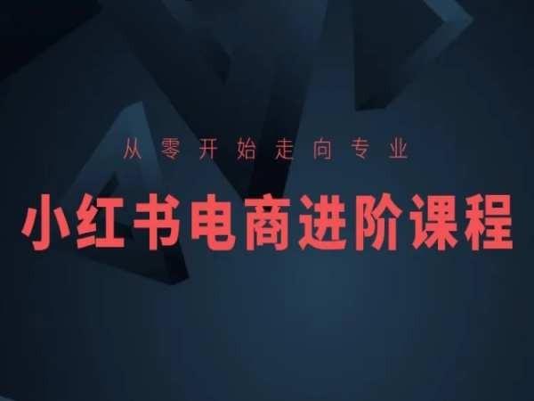 从零开始走向专业，小红书电商进阶课程-chywc