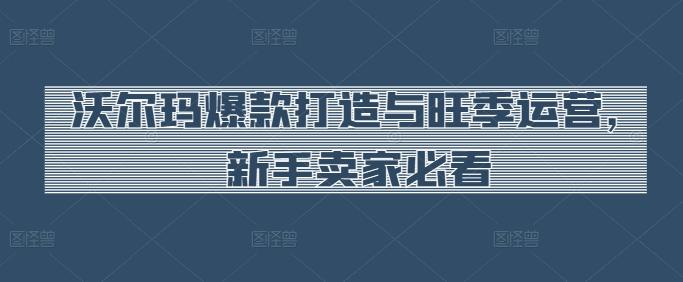 沃尔玛爆款打造与旺季运营，新手卖家必看-chywc