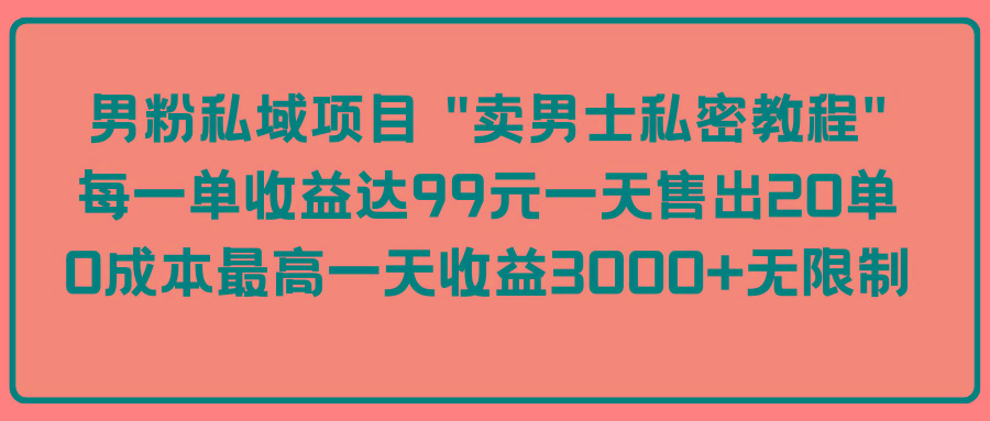(9730期)男粉私域项目 “卖男士私密教程” 每一单收益达99元一天售出20单-chywc