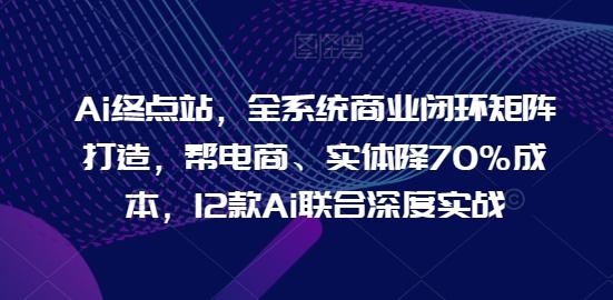 Ai终点站，全系统商业闭环矩阵打造，帮电商、实体降70%成本，12款Ai联合深度实战-chywc