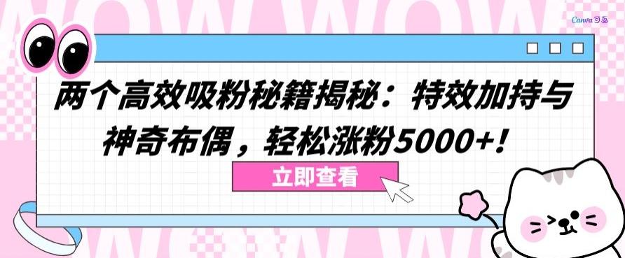 两个高效吸粉秘籍揭秘：特效加持与神奇布偶，轻松涨粉5000+【揭秘】-chywc