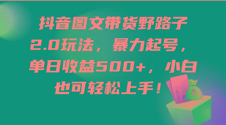 (9790期)抖音图文带货野路子2.0玩法，暴力起号，单日收益500+，小白也可轻松上手！-chywc