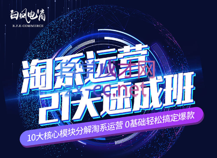 淘系运营21天速成班(更新24年5月)-chywc
