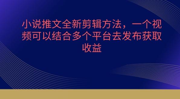小说推文全新剪辑方法，一个视频可以结合多个平台去发布获取【揭秘】-chywc