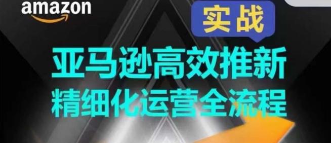 亚马逊高效推新精细化运营全流程，全方位、快速拉升产品排名和销量!-chywc