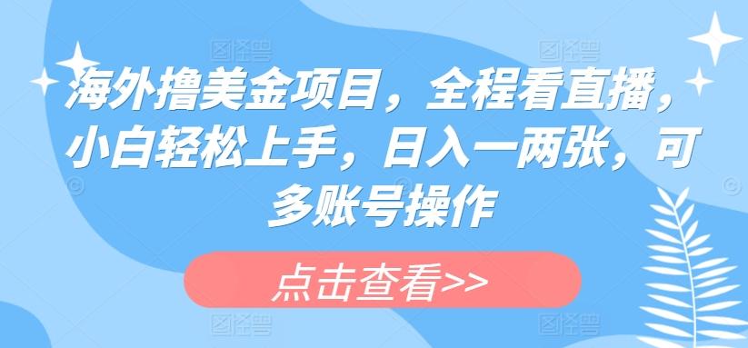 海外撸美金项目，全程看直播，小白轻松上手，日入一两张，可多账号操作【揭秘】-chywc