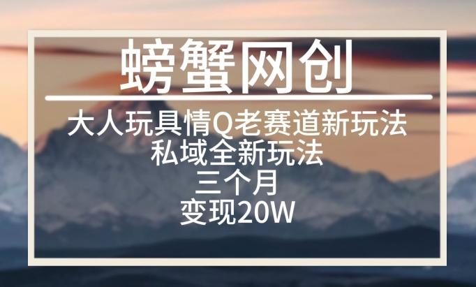 大人玩具情Q用品赛道私域全新玩法，三个月变现20W，老项目新思路【揭秘】-chywc