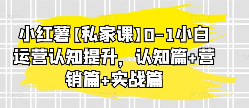 小红薯【私家课】0-1小白运营认知提升，认知篇+营销篇+实战篇-chywc