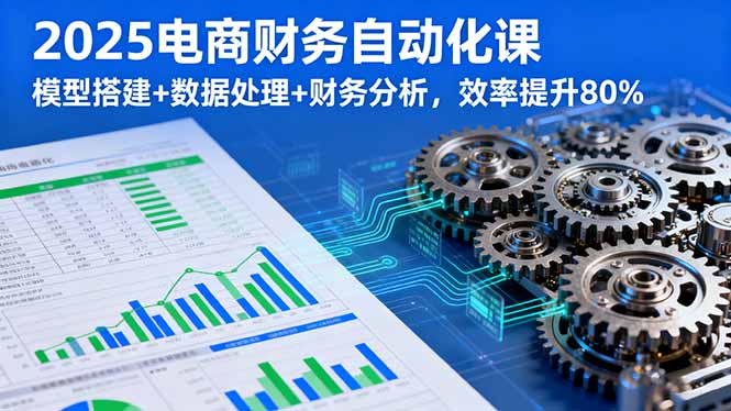 2025电商财务自动化课，模型搭建+数据处理+财务分析，效率提升80%-chywc