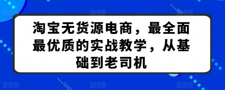 淘宝无货源电商，最全面最优质的实战教学，从基础到老司机-chywc