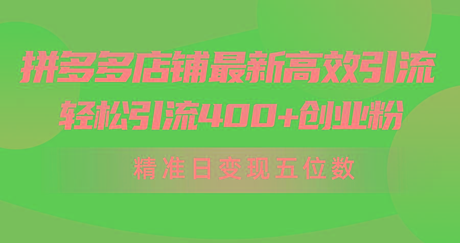 (10041期)拼多多店铺最新高效引流术，轻松引流400+创业粉，精准日变现五位数！-chywc