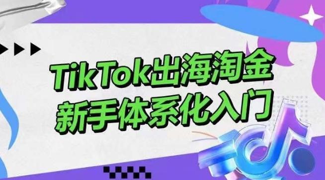 TikTok出海淘金，新手体系化入门，零基础快速入门，掌握短视频、直播带货等引流到变现的知识-chywc