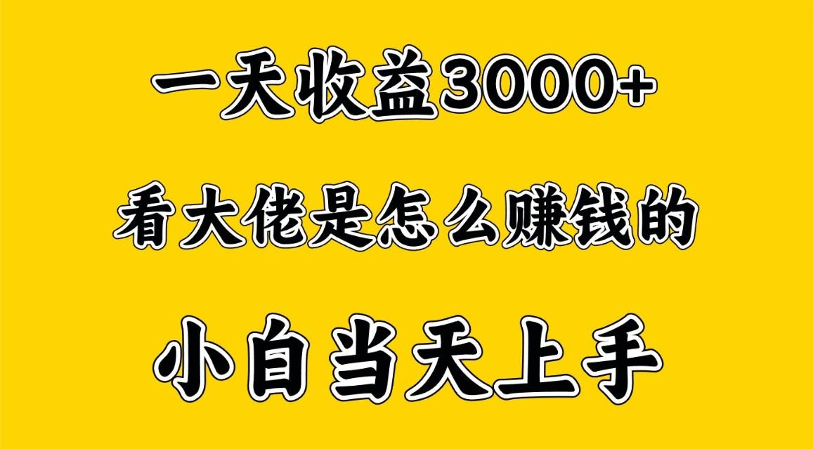 一天赚3000多，大佬是这样赚到钱的，小白当天上手，穷人翻身项目-chywc