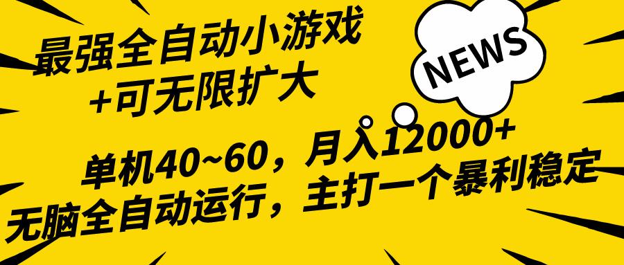 (10046期)2024最新全网独家小游戏全自动，单机40~60,稳定躺赚，小白都能月入过万-chywc