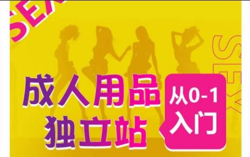 成人用品独立站从0-1入门，成品独立站运营全流程教学，七大好卖成品独立站推荐-chywc