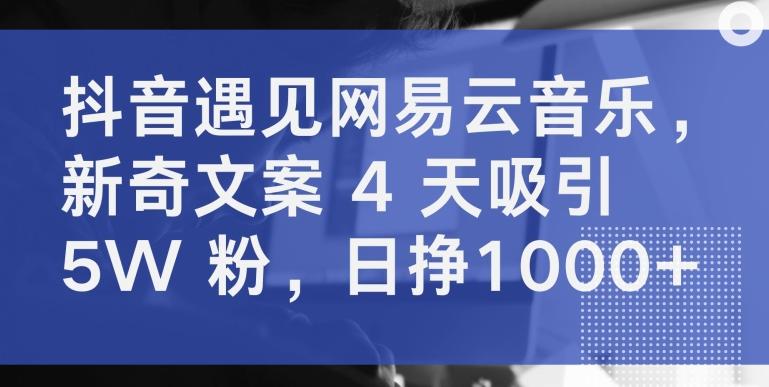 抖音遇见网易云音乐，新奇文案 4 天吸引 5W 粉，日挣1000+【揭秘】-chywc