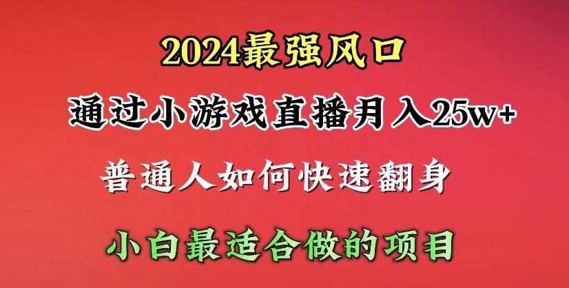(10020期)2024年最强风口，通过小游戏直播月入25w+单日收益5000+小白最适合做的项目-chywc