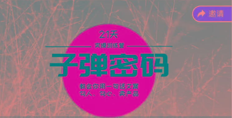 《子弹密码训练营》-用一句话文案勾人勾心卖产品，21天学到顶尖文案大师策略和技巧-chywc