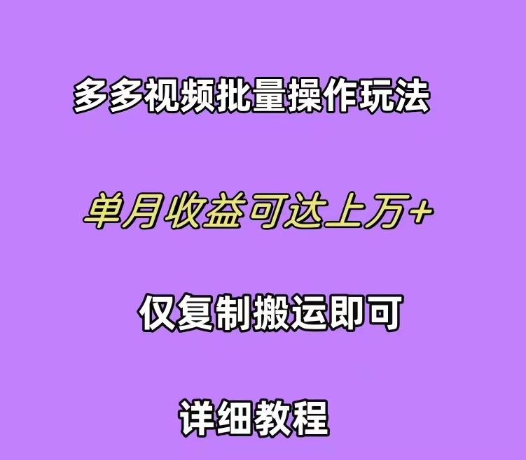 (10029期)拼多多视频带货快速过爆款选品教程 每天轻轻松松赚取三位数佣金 小白必…-chywc
