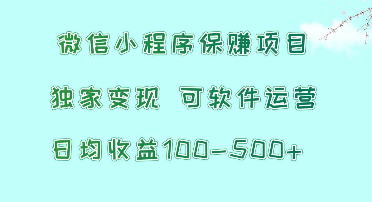 微信小程序保赚项目，日均收益100~500+，独家变现，可软件运营-chywc