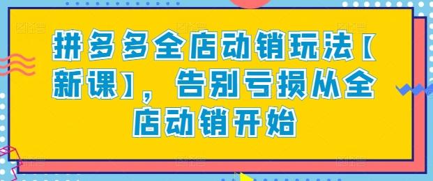 拼多多全店动销玩法【新课】，告别亏损从全店动销开始-chywc