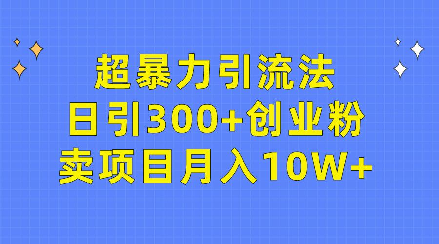 (9954期)超暴力引流法，日引300+创业粉，卖项目月入10W+-chywc