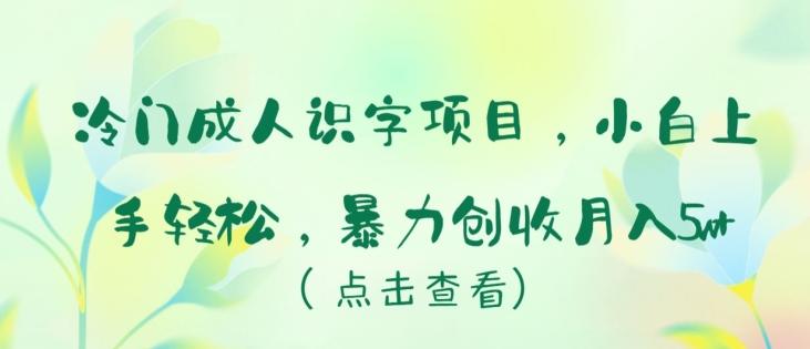 冷门成人识字项目，小白上手轻松，暴力创收月入5w+【揭秘】-chywc