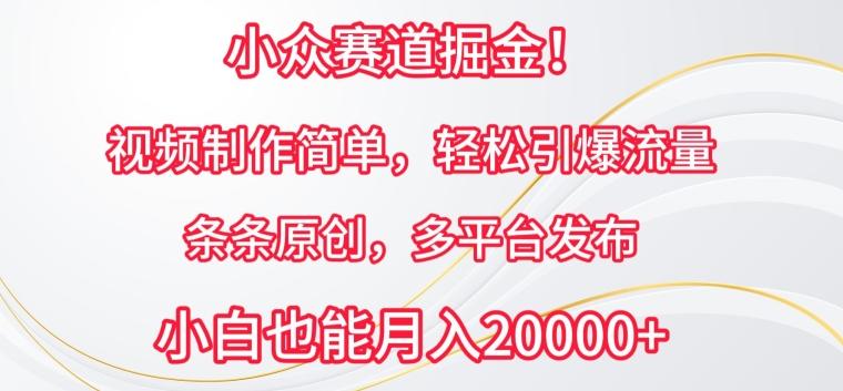 小众赛道掘金，视频制作简单，轻松引爆流量，条条原创，多平台发布【揭秘】-chywc