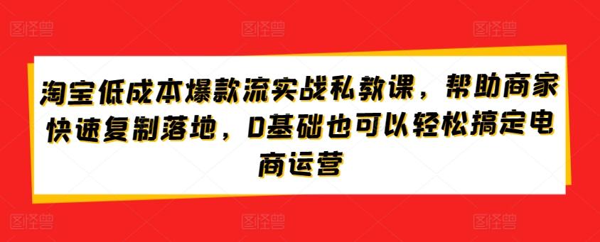 淘宝低成本爆款流实战私教课，帮助商家快速复制落地，0基础也可以轻松搞定电商运营-chywc
