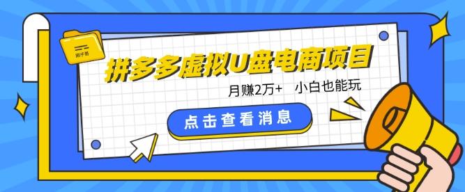 拼多多虚拟U盘电商红利项目：月赚2万+，新手小白也能玩-chywc