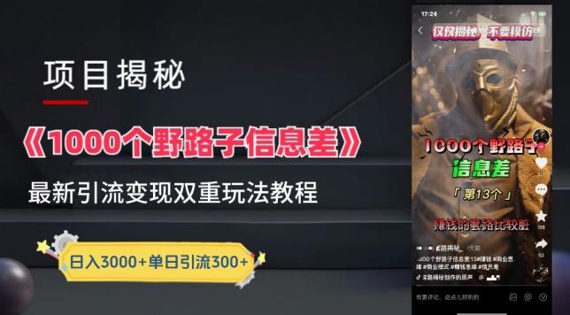 一千个野路子信息差最新玩法教程-变现+引流的玩法具体拆解【揭秘】-chywc