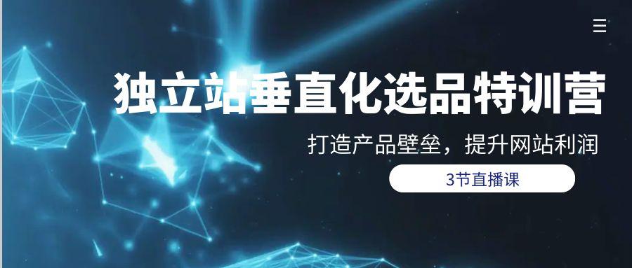 (9925期)独立站-垂直化选品训练营，打造产品壁垒，提升网站利润(3节直播课)-chywc