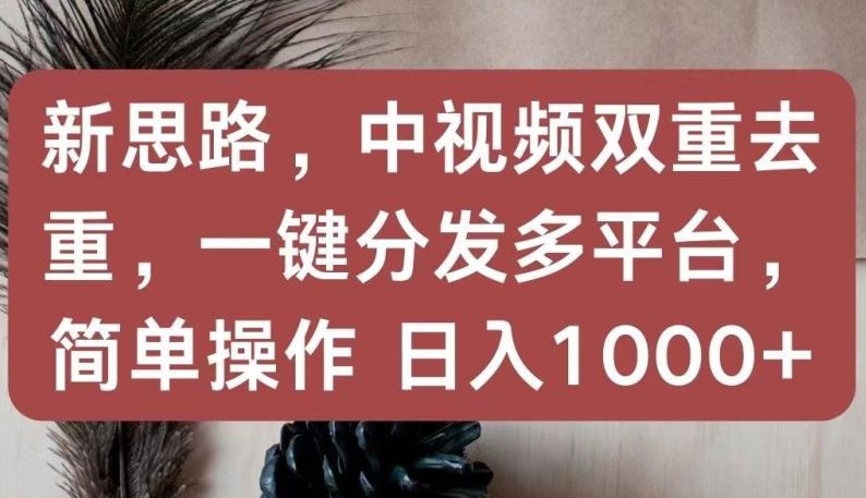 新思路，中视频双重去重，一键分发多平台，简单操作，日入1000+【揭秘】-chywc
