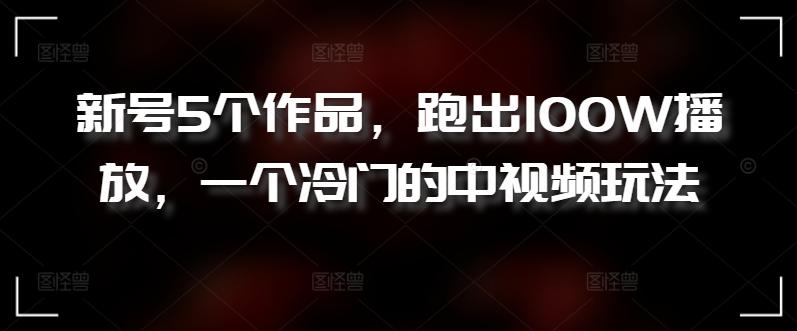新号5个作品，跑出100W播放，一个冷门的中视频玩法【揭秘】-chywc