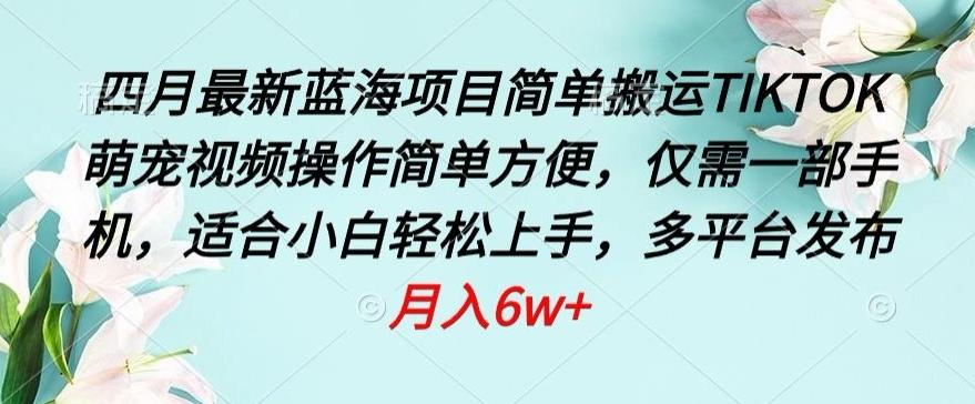 四月最新蓝海项目，简单搬运TIKTOK萌宠视频，操作简单方便，仅需一部手机【揭秘】-chywc