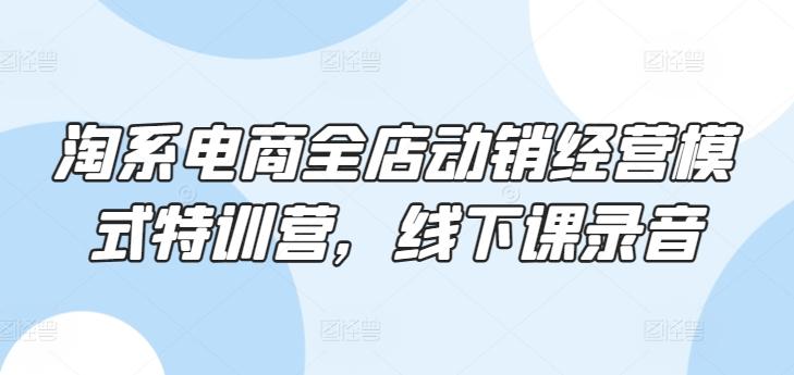 淘系电商全店动销经营模式特训营，线下课录音-chywc