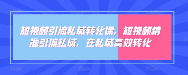短视频引流私域转化课，短视频精准引流私域，在私域高效转化-chywc