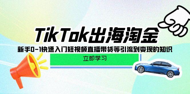 (10035期)TikTok-出海淘金，新手0-1快速入门短视频直播带货等引流到变现的知识-chywc