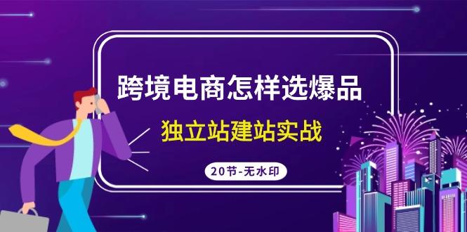 (9369期)跨境电商怎样选爆品，独立站建站实战(20节高清无水印课)-chywc
