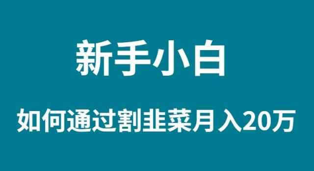 (9308期)新手小白如何通过割韭菜月入 20W-chywc