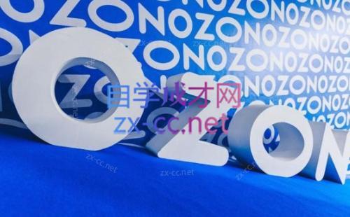 森哥·出海俄罗斯电商实操(2024)-chywc