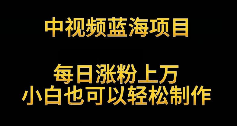 中视频蓝海项目，解读英雄人物生平，每日涨粉上万，小白也可以轻松制作，月入过万不是梦【揭秘】-chywc