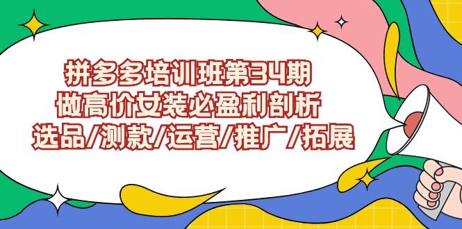 (9333期)拼多多培训班第34期：做高价女装必盈利剖析  选品/测款/运营/推广/拓展-chywc